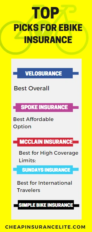 An infographic for Top Picks for Ebike Insurance